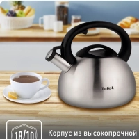 Чайник для плиты C7921024 из нержавеющей стали, со свистком