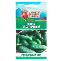 Семена Огурец "Засолочный", 0,5 г