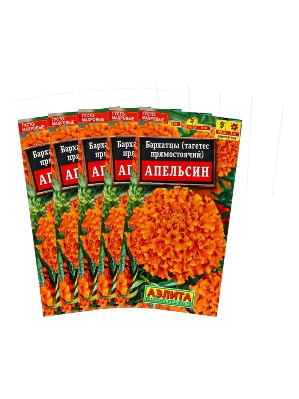 Набор семян Бархатцы "Апельсин" прямостоячие, О, 5 шт.