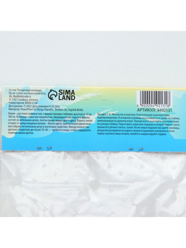 Лилия Азиатская Кашпо Happy Ice, рлуковица в пакете с перфорацией, -р 12/14, 2 шт.