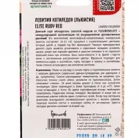 Семена цветов Левизия Elise Ruby Red котиледон  3шт.  12.29 г.