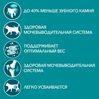 Влажный корм Purinа One для кошек, говядина/морковь, 75 г