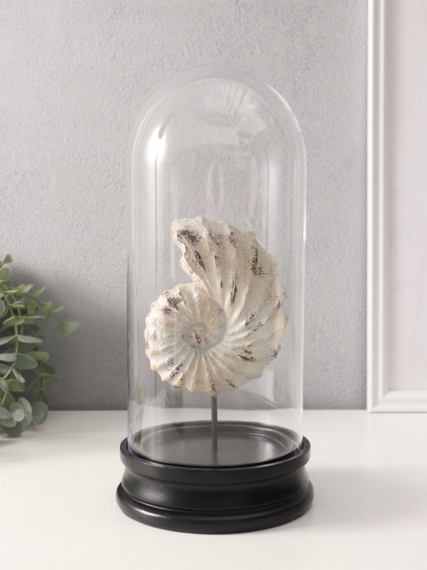 Сувенир полистоун в колбе "Ракушка плоскоспиральная" 14х14х30 см