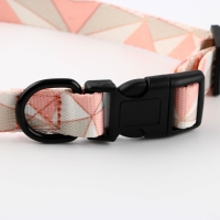 Набор &laquo;Ромбы&raquo;, застёжка - фастекс, поводок 2 м и ошейник 28-46 см