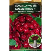 Семена цветов Гвоздика турецкая Бодештольц F1 карминно-розовая  Золотая серия, Ц/П,7 шт.
