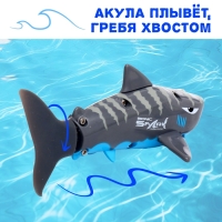 Акула &laquo;Белая&raquo;, радиоуправляемая, плавает, работает от аккумулятора, цвет серый