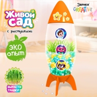 Набор для опытов Живой сад &laquo;Ракета&raquo; МИКС