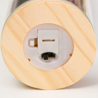 Ночник колба "Букет из красных цветов" LED от батареек LR1130 6,5х6,5х19 см RISALUX