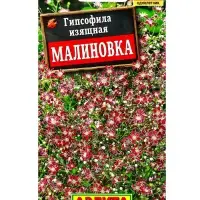 Семена цветов Гипсофила изящная Малиновка , Ц/П,0,05 г