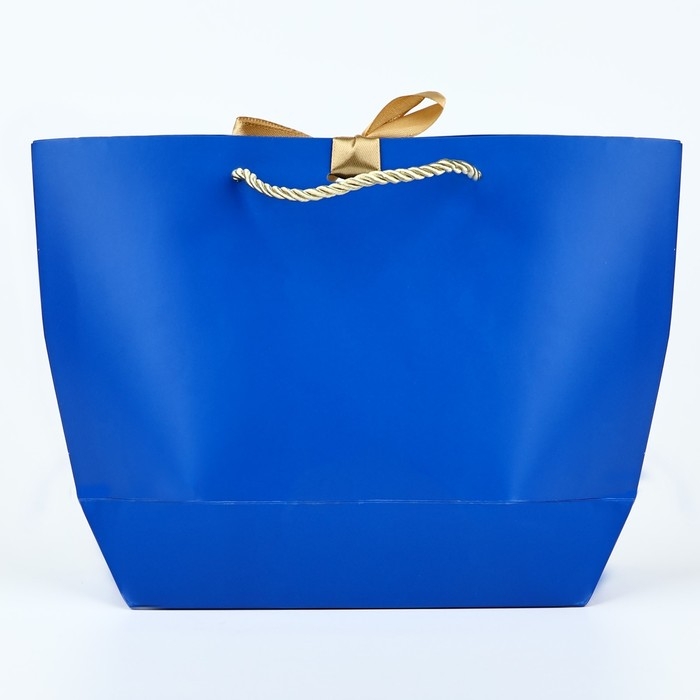 Пакет подарочный новогодний &laquo;Благополучия в Новом году&raquo;, 19 х 20 х 9 см, Новый год