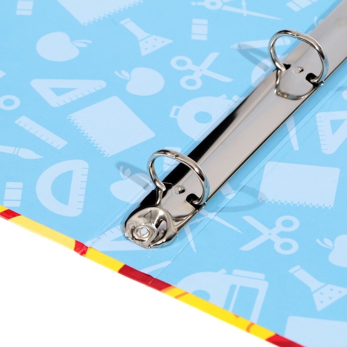 Папка школьная на кольцах &laquo;Портфолио ученика начальной школы&raquo;, без разделителей, 24,5 х 32 см.