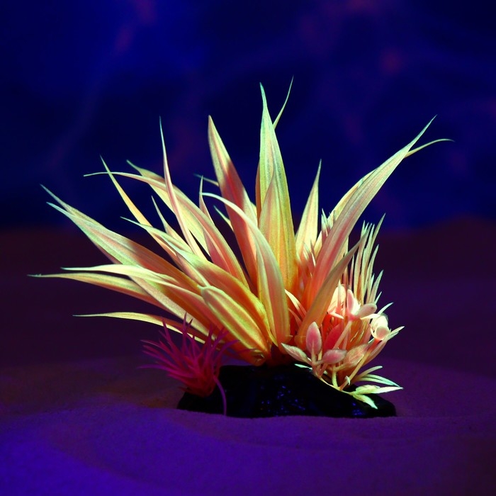 Растение искусственное аквариумное, светящееся, 10 см, красное Растение искусственное аквариумное, светящееся, 10 см, красное