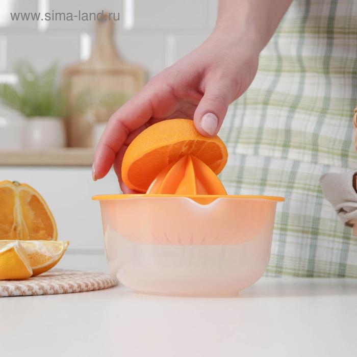 Соковыжималка для цитрусовых &laquo;Мадена&raquo;, 300 мл, цвет МИКС