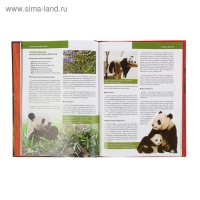 Красная книга &laquo;Животные мира&raquo;. Скалдина О. В., Слиж Е. А.