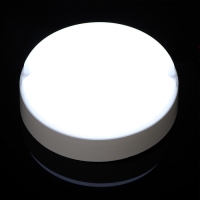 Светильник светодиодный 15 Вт, 1300 Лм, IP65, 6500К, 220 В, КРУГ