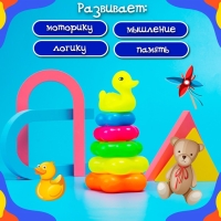 Пирамида &laquo;Уточка&raquo;, 5 колец