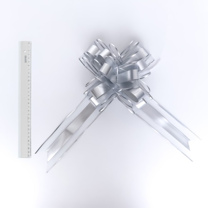 Бант-шар №6.5