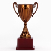 Кубок 045, наградная фигура, бронза, подставка пластик, 20&times;10.6&times;8 см
