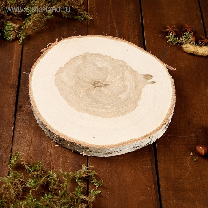 Спил берёзы, шлифованный с одной стороны, диаметр 18-22 см