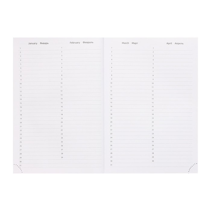 Ежедневник недатированный A5 160 листов Attomex.Visa, твёрдая обложка из искусственной кожи с поролоном, блок 70 г/м2, зелёный