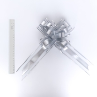 Бант-шар №6.5