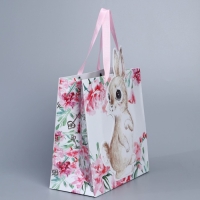 Пакет подарочный, упаковка, «Кролик», 22 х 22 х 10 см Пакет подарочный, упаковка, «Кролик», 22 х 22 х 10 см