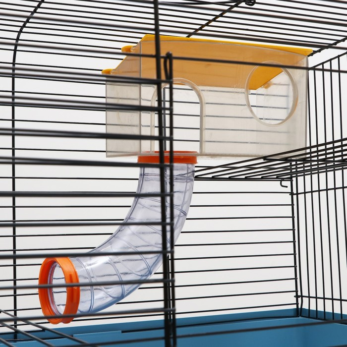 Клетка для грызунов Клетка для грызунов "Хома 3", 50 x 37 x 42 см, микс цветов