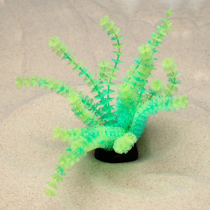 Растение искусственное аквариумное, светящееся, 18 см, зелёное Растение искусственное аквариумное, светящееся, 18 см, зелёное