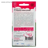 Семена цветов Бальзамин Уоллера "Искушение светло-розовое" F1, О, 4 шт. Семена цветов Бальзамин Уоллера "Искушение светло-розовое" F1, О, 4 шт.