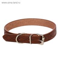 Ошейник с основой из термопластичной резины, тисненый, 48 х 2 см, микс цветов Ошейник с основой из термопластичной резины, тисненый, 48 х 2 см, микс цветов