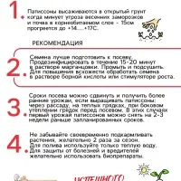 Семена Патиссон "Копейка", 0,6 г