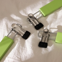 Вешалки для брюк и юбок LaDо́m Brillant, 28&times;12&times;2,3 см, 2 шт, деревянные, с зажимами, цвет фисташковый