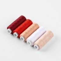 Набор ниток &laquo;Багровый румянец&raquo;, 40/2, 200 м, 5 шт, цвет разноцветный