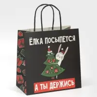 Пакет подарочный новогодний &laquo;А ты держись&raquo;, 22 х 22 х 11 см