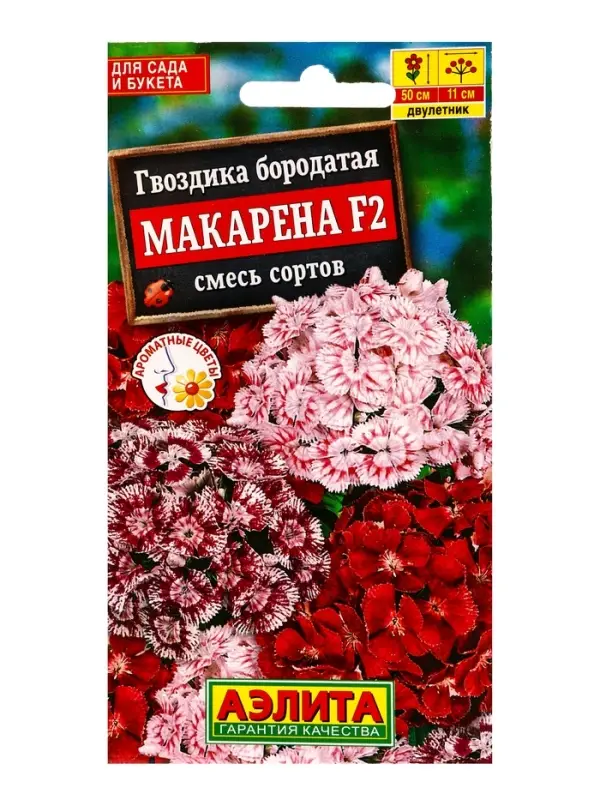 Семена цветов Гвоздика Макарена F2, смесь сортов Дв, Ц/П,0,1 г