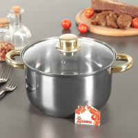 Кастрюля из нержавеющей стали с крышкой Доляна &laquo;Роскошь&raquo;, 3 л, d=20 см