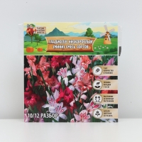 Гладиолус Низкорослый (мини) смесь сортов, луковица цветов в пакете с перфорацией, р-р 10/+ , 7 шт.