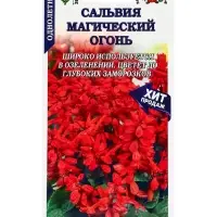 Семена Сальвия Магический огонь /Сотка/ 0,1г/ h-20см/*1300