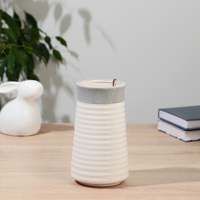 Керамическая ваза для цветов, сухоцветов &laquo;Лиам&raquo; натура, настольная, d-8.5&times;10 см, h-18 см, бело-серый