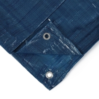 Тент защитный, 6 &times; 5 м, плотность 60 г/м&sup2;, УФ, люверсы шаг 1 м, синий