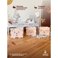 Конструктор деревянный «Ящики-Мордашки», 3 шт. Конструктор деревянный «Ящики-Мордашки», 3 шт.