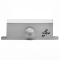 Доводчик дверей ТУНДРА G062 морозостойкий, до -50, до 65, цвет серебро Доводчик дверей ТУНДРА G062 морозостойкий, до -50, до 65, цвет серебро