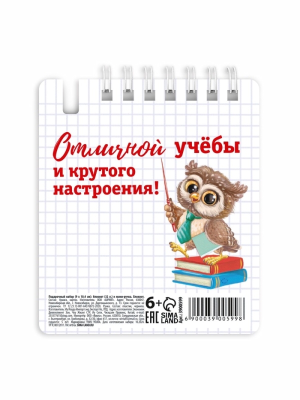 Набор блокнот и мини-ручка "Вперёд к знаниям"