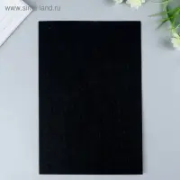 Фетр жесткий 1 мм 20&times;30 см черный
