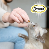 Лакомство Dreamies для кошек, говядина, 60 г