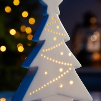 Светодиодная фигура "Белая елка" 17.3х11.3х4.5, 1 LED, LR44x3(в компл.), Т/БЕЛЫЙ Светодиодная фигура "Белая елка" 17.3х11.3х4.5, 1 LED, LR44x3(в компл.), Т/БЕЛЫЙ