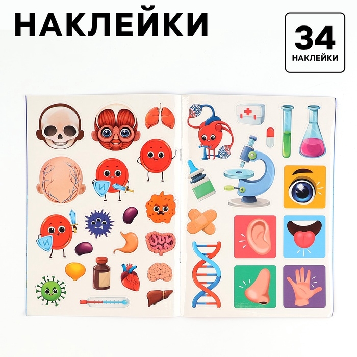 Обучающий набор &laquo;Тело человека&raquo;, рамка-вкладка и книга с наклейками