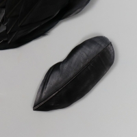 Перо декоративное гусиное "Чёрное" в форме листа набор 40 шт h=5-7 см