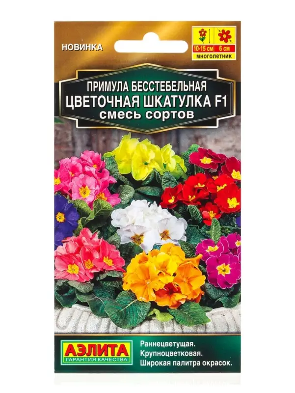 Семена цветов Примула Цветочная шкатулка F1, смесь сортов Мн Золотая серия, Ц/П,5 шт.