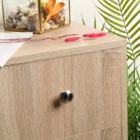 Ручка-кнопка ТУНДРА, d=30 мм, цвет матовый никель